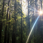 2017久久直播平台热门内容全回顾 9iwni6a