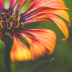 2017年6月直播平台行业深度观察与市场格局分析 lpltdp