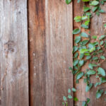 2017世界九球锦标赛全程高清直播精彩对决 zurm40